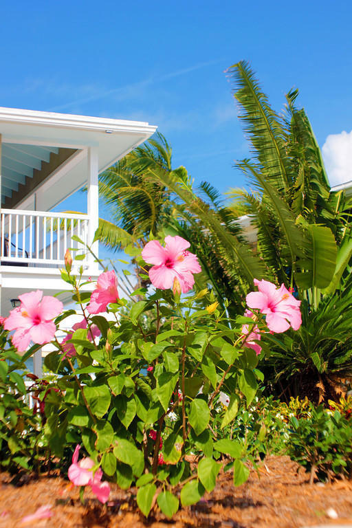 Exuma Beach Resort George Town Esterno foto